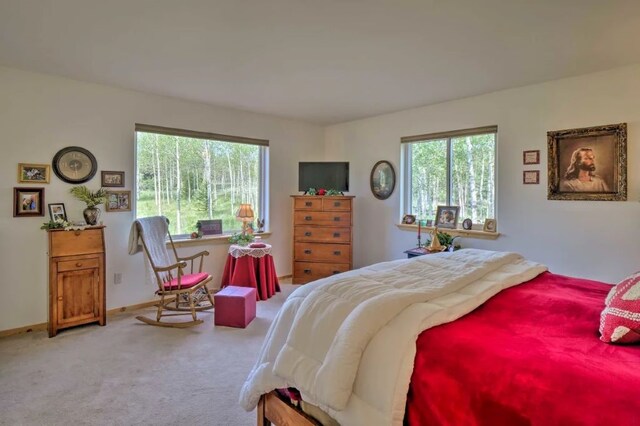 bedroom featuring light carpet