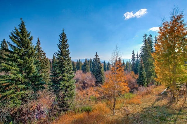 view of local wilderness with a view of trees