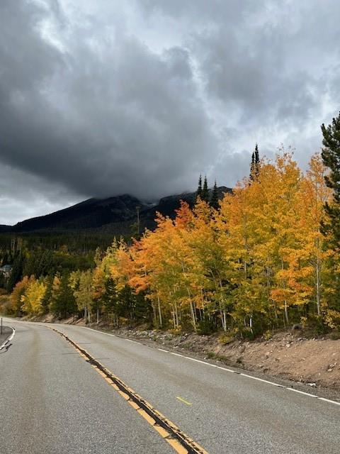 view of road featuring a mountain view