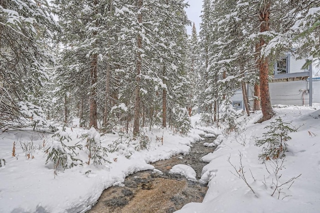 view of snowy landscape