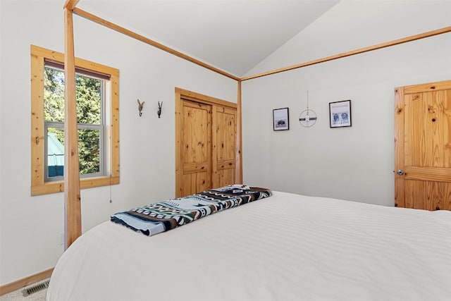 bedroom with vaulted ceiling and a closet