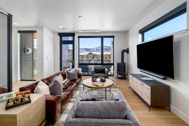 living room featuring a wood stove and light hardwood / wood-style flooring