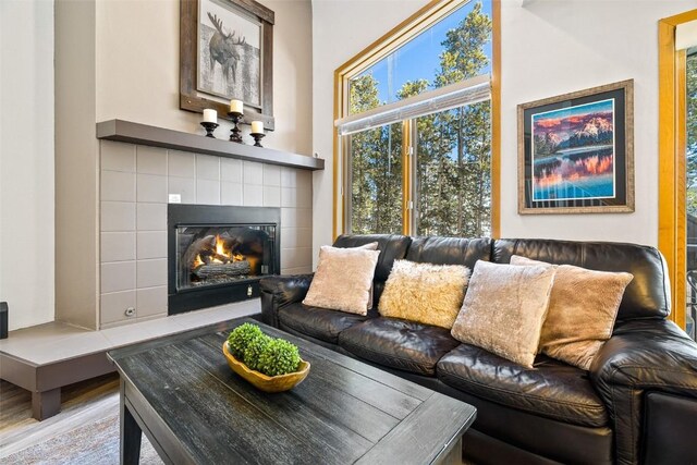 living area featuring a fireplace and wood finished floors