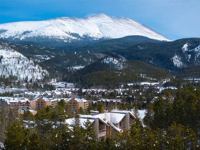 view of mountain feature