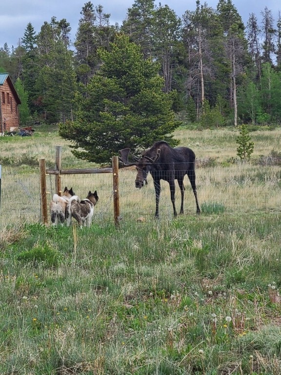 view of yard with a rural view