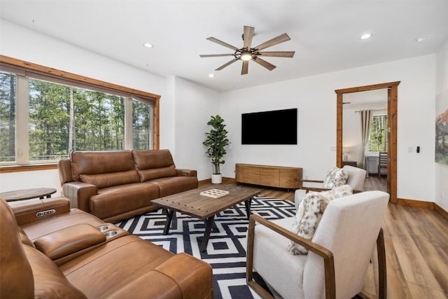 living room with a wealth of natural light, ceiling fan, and light hardwood / wood-style floors