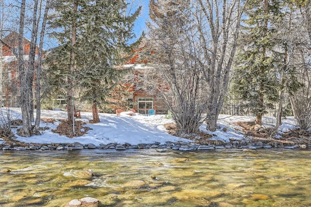 view of yard covered in snow