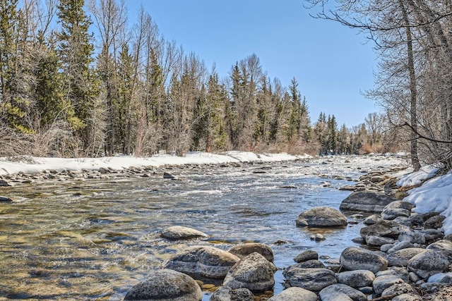 property view of water with a wooded view