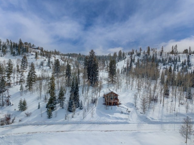 view of snowy aerial view