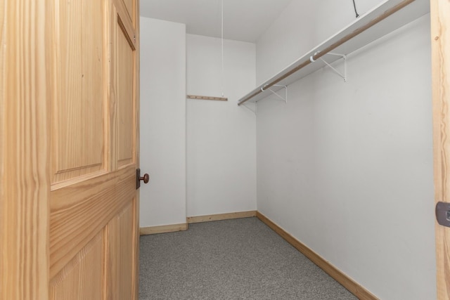 walk in closet with carpet