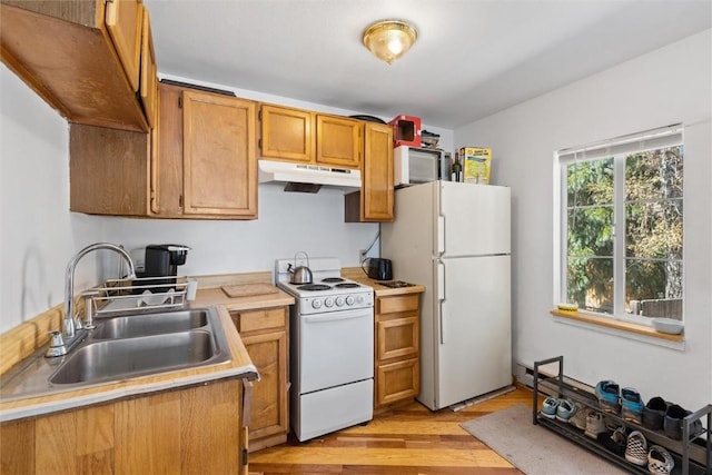 kitchen with under cabinet range hood, light countertops, light wood-style flooring, white appliances, and a sink