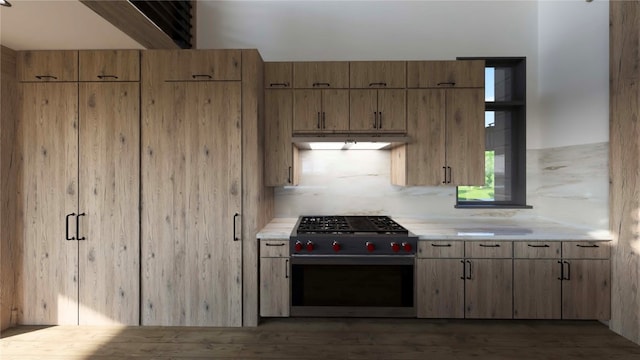 kitchen featuring decorative backsplash and stainless steel stove