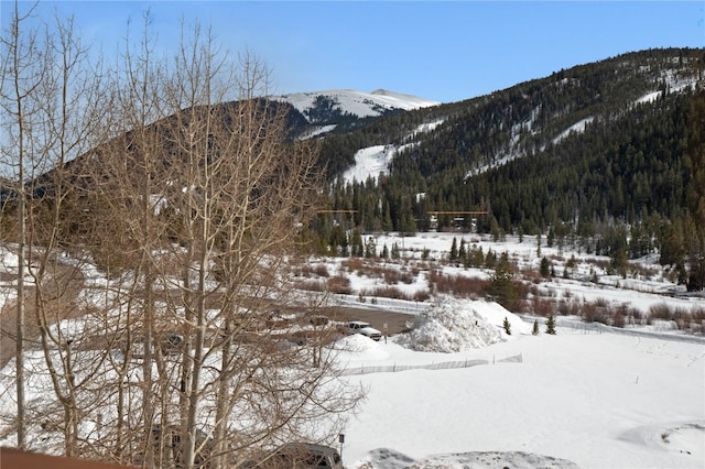 mountain view with a wooded view