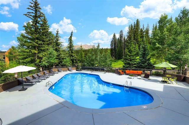 view of swimming pool featuring a patio area