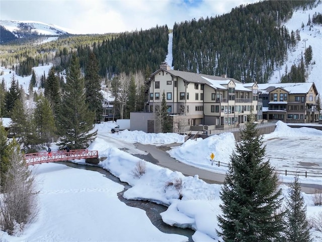 snowy aerial view featuring a wooded view