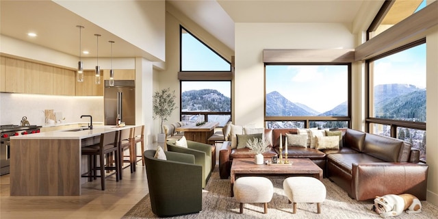 interior space with hardwood / wood-style floors, a mountain view, sink, and a wealth of natural light