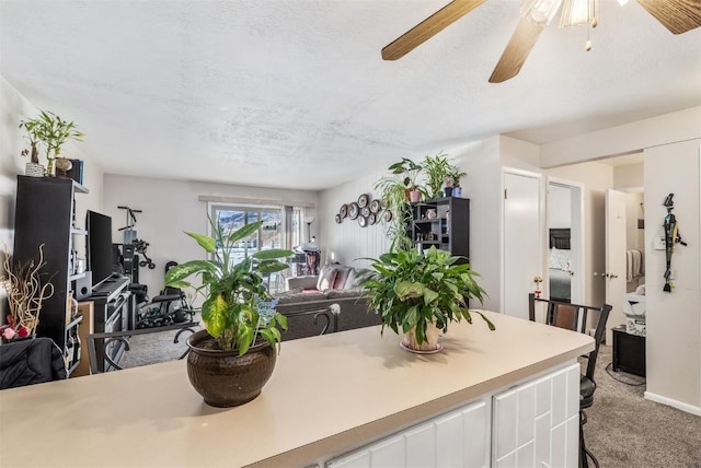 kitchen with carpet flooring, ceiling fan, white cabinets, and a textured ceiling