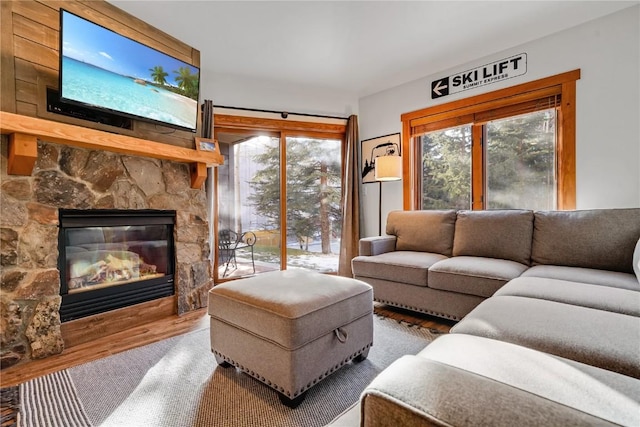 living room featuring a fireplace and wood-type flooring