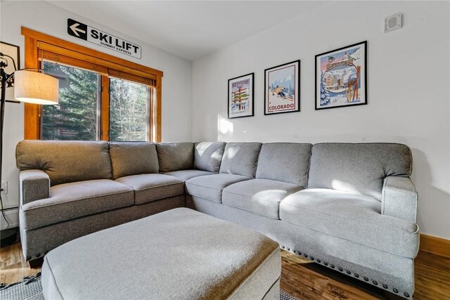 living room featuring hardwood / wood-style flooring