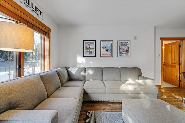 living room featuring hardwood / wood-style floors