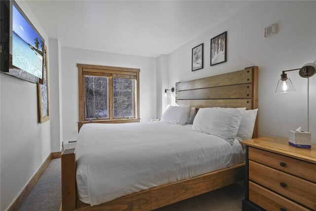 bedroom featuring a baseboard radiator and dark colored carpet