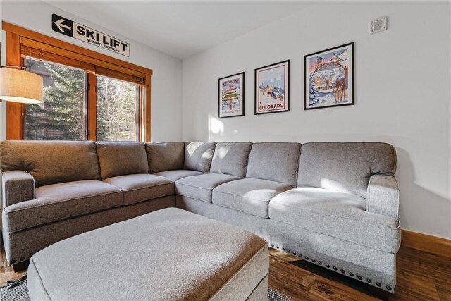 living room featuring hardwood / wood-style flooring