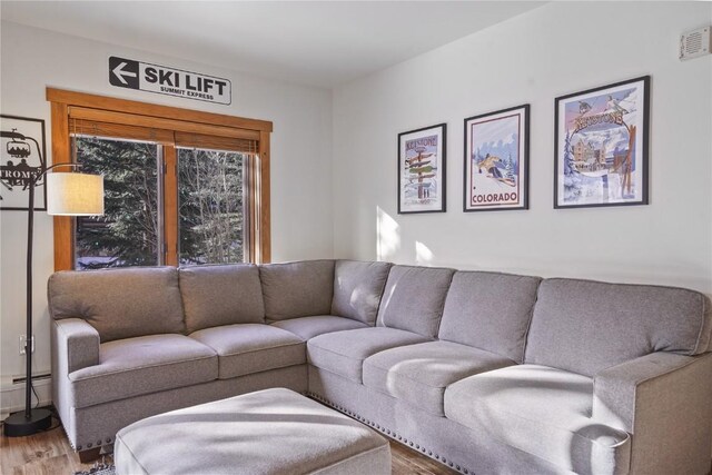 living room featuring hardwood / wood-style floors and a baseboard radiator