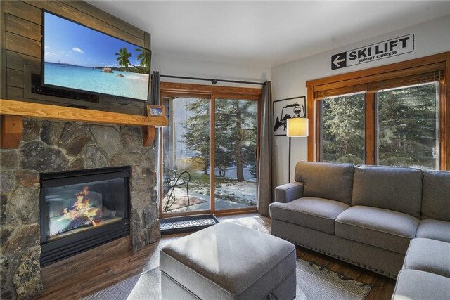 living room featuring a fireplace, a healthy amount of sunlight, and hardwood / wood-style flooring