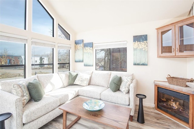 living room featuring hardwood / wood-style floors and lofted ceiling