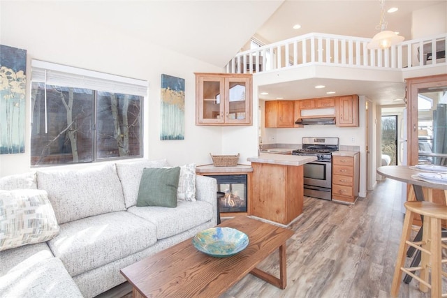 living room featuring light wood-type flooring and high vaulted ceiling