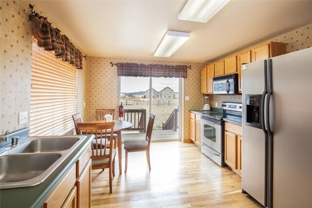 kitchen featuring sink, light wood-type flooring, and appliances with stainless steel finishes