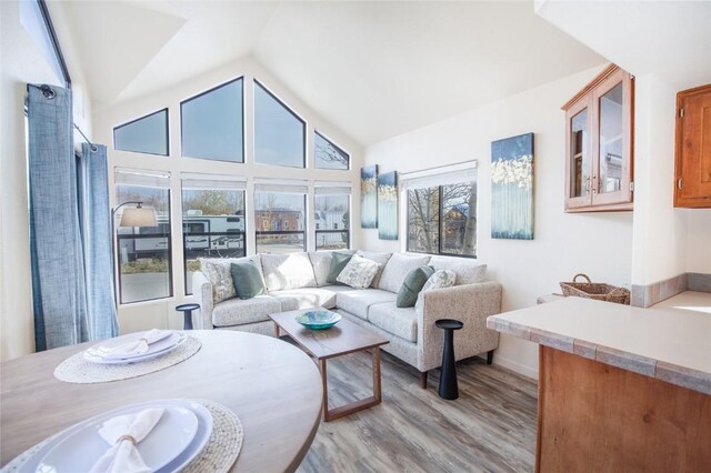 living room featuring lofted ceiling and light hardwood / wood-style flooring