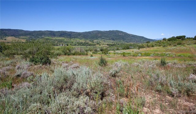 Listing photo 2 for 35375 Priest Creek Rd, Steamboat Springs CO 80487