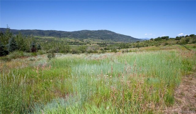 35375 Priest Creek Rd, Steamboat Springs CO, 80487 land for sale