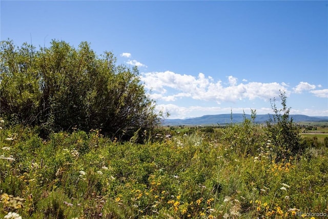 Listing photo 3 for 35375 Priest Creek Rd, Steamboat Springs CO 80487