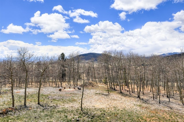 property view of mountains with a rural view