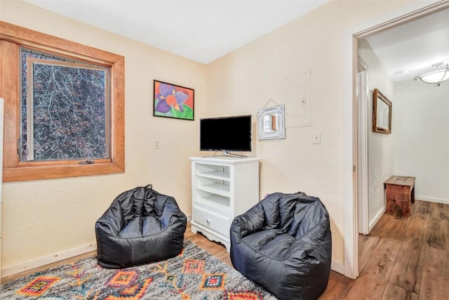 living area featuring hardwood / wood-style floors