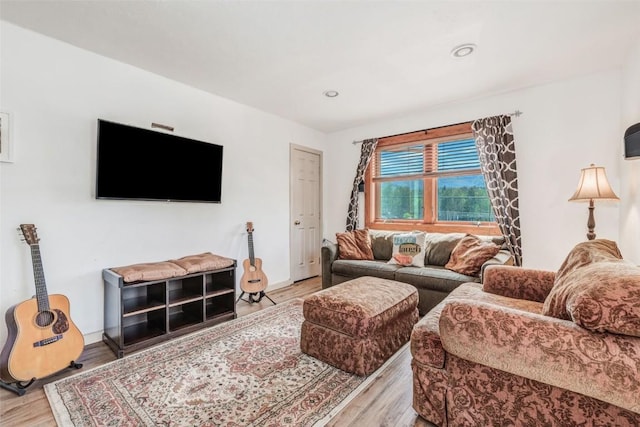 living room featuring light hardwood / wood-style flooring