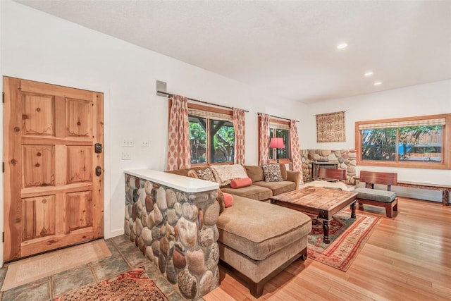 living room with wood-type flooring