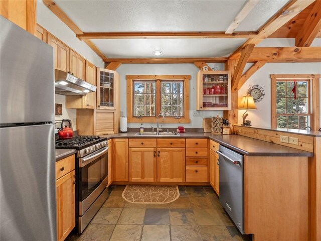 kitchen with appliances with stainless steel finishes, light brown cabinets, a wealth of natural light, and sink