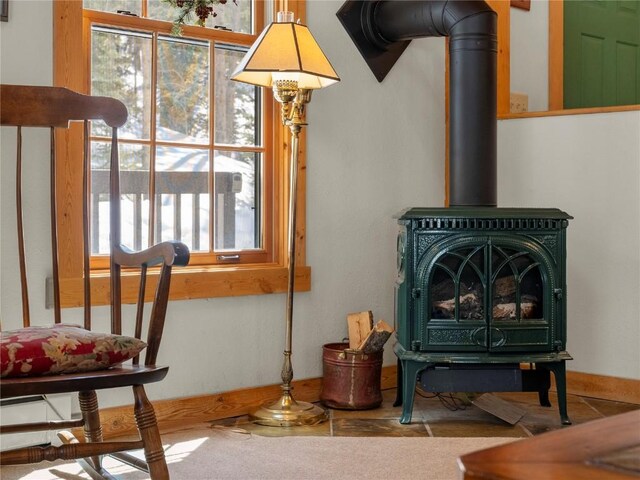 room details with a wood stove