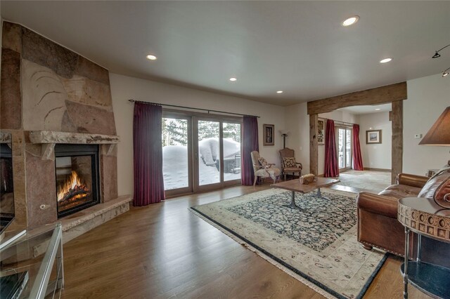 living room featuring a tile fireplace, light wood-type flooring, and a healthy amount of sunlight