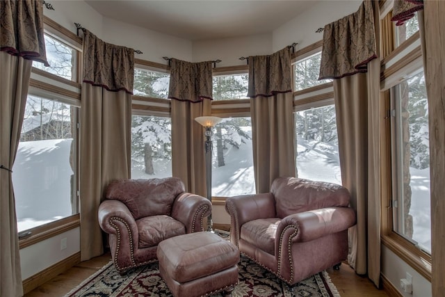 sitting room featuring light hardwood / wood-style floors