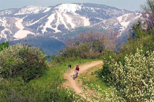 property view of mountains