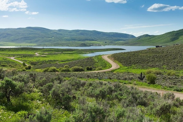 31325 Shoshone Way, Oak Creek CO, 80467 land for sale