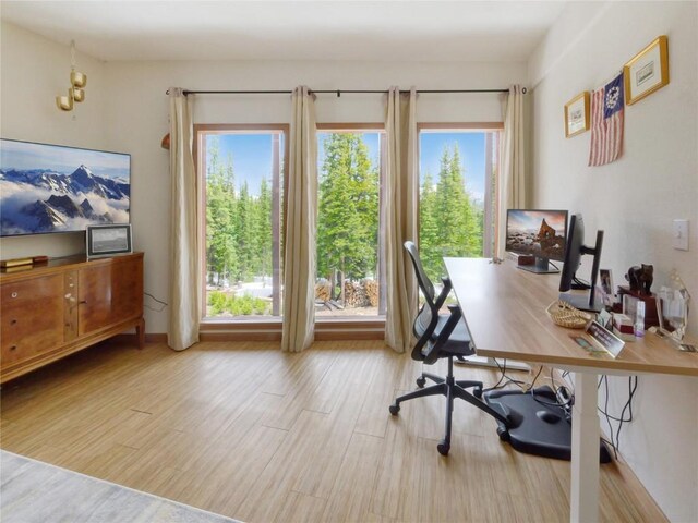 office space featuring a healthy amount of sunlight and light hardwood / wood-style floors