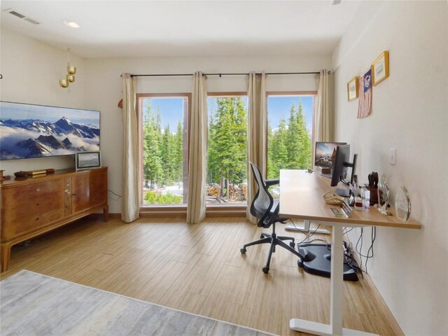 office space with light hardwood / wood-style floors and a healthy amount of sunlight