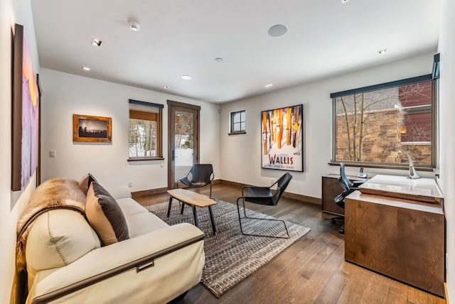 living room featuring hardwood / wood-style floors