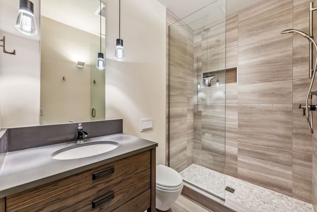 bathroom featuring vanity, toilet, and a shower with shower door