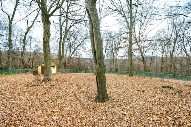 view of yard with a shed